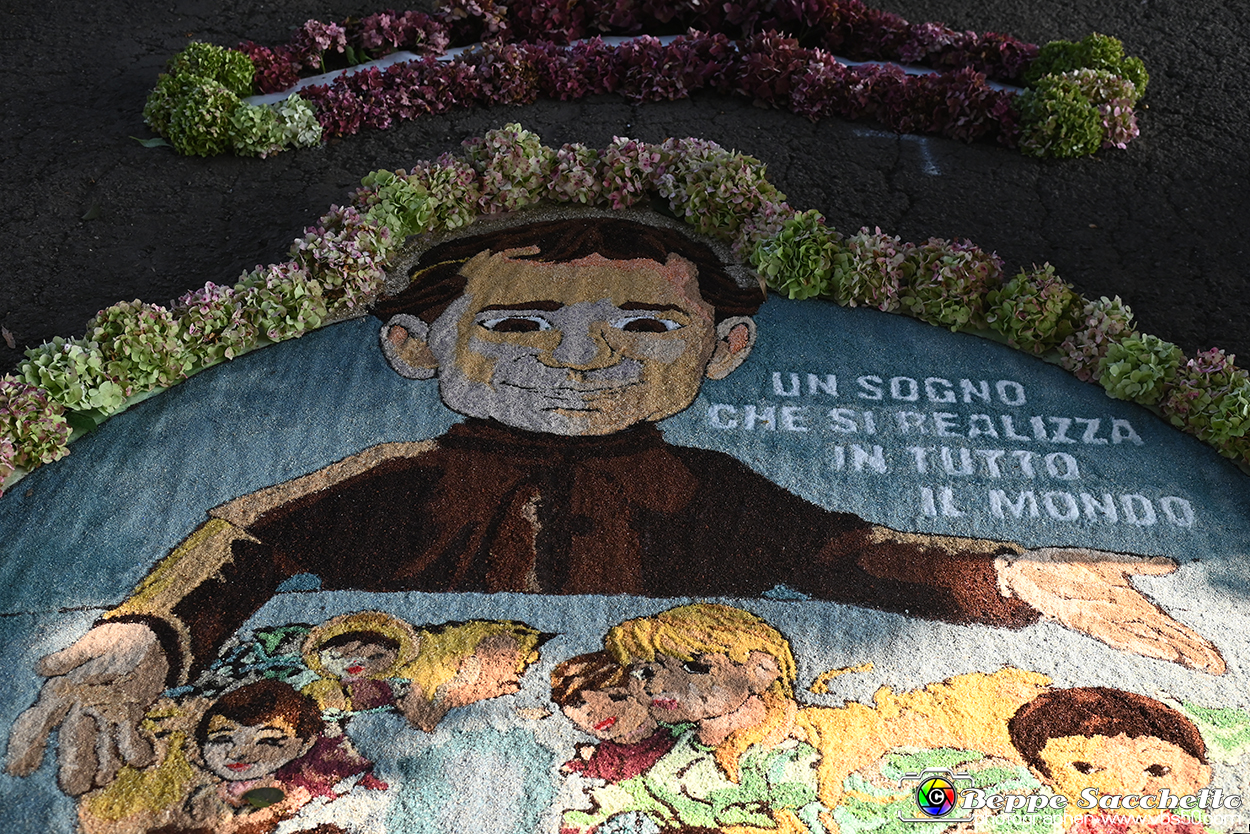 VBS_9868 - Infiorata Santuario della Madonnina di Villanova d'Asti 2024.jpg